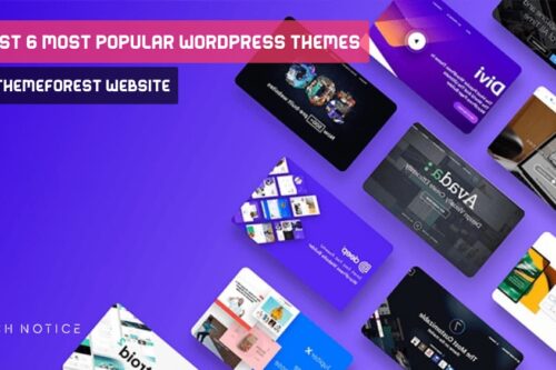 Popular WordPress Themes In ThemeForest Website