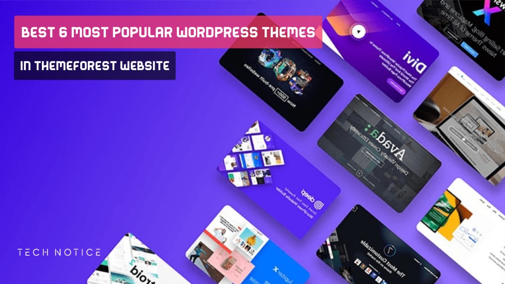 Popular WordPress Themes In ThemeForest Website